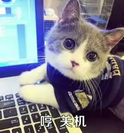  霸帝