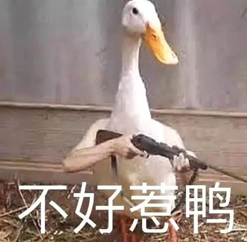 尴尬的表情包不好意思家