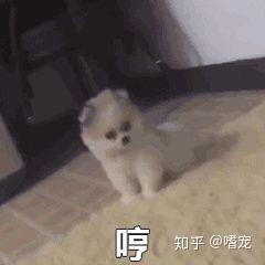  在女生生理期的时候你遇到过什么尴尬的事儿