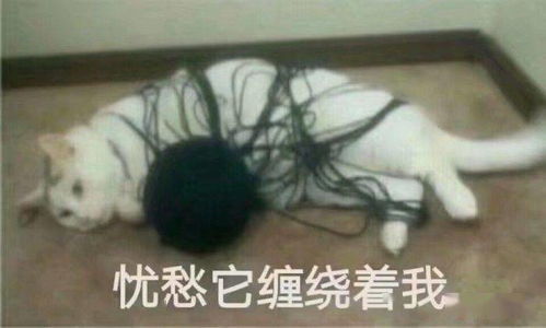  同安人迎来白露节气高温退烧,但暴雨雷电要发威了