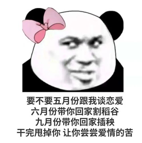  搞笑表情包早上好动态表情包可爱0703期