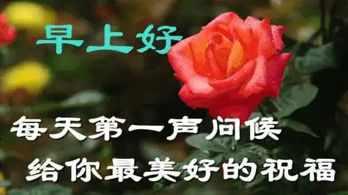  10月28日早上好最棒问候表情祝福语录,早上问候朋友的早安动态表情图片