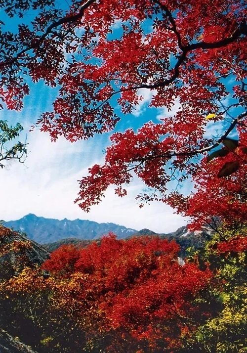 红色山水风景微信头像