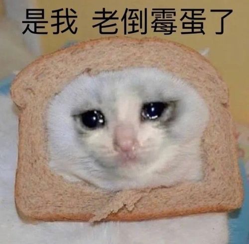 有没有发出去就被赞到99的沙雕朋友圈文案