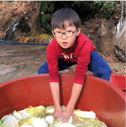  宋家三胞胎近照超可爱从萌娃变帅哥,你的表情包该更新啦