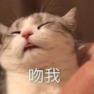  聊天必备表情包i哦哟有戏看咯