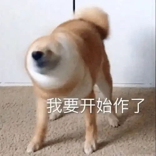  日常表情包人家就是想粘着你