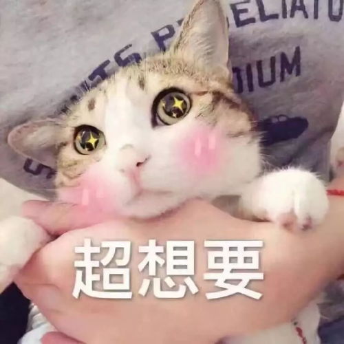  曝光12对情侣聊天新套路,红安人那条让我笑到喷饭
