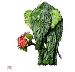  男生不怎么拍照的原因