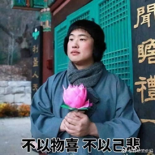 2023好看的微信头像图片