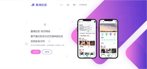  2023好看大气精美网站app官网源码