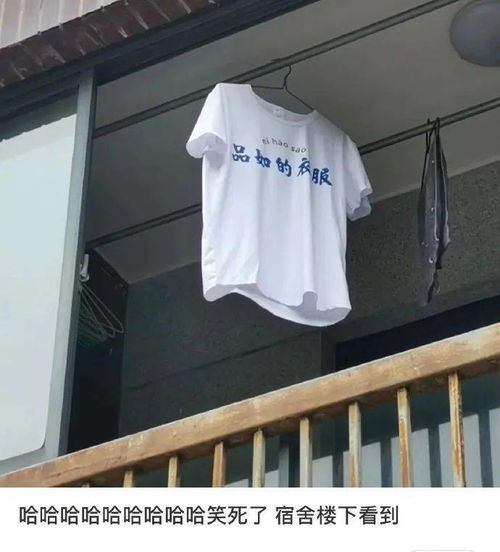  无意中看到了男朋友和闺蜜的对话,我才发现自己像个笑话......
