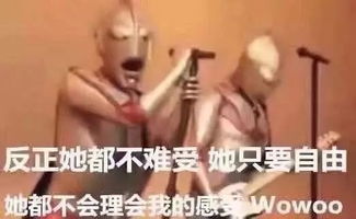  一条全是聊天常用的表情包,都是新图