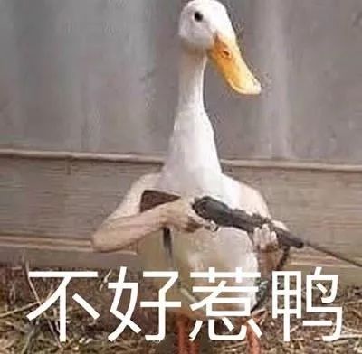  五年了,茶老板送出的那些大礼中有你的一份吗