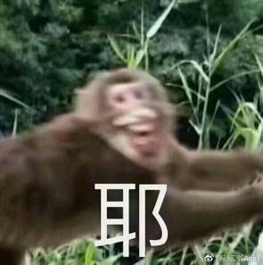  支付宝五福节来了四大ai新玩法,5亿红包等你来拿