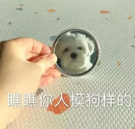 表情包的意思说明吃软饭