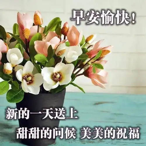  超赞早上好问候漂亮图片表情带字早安心语祝福动图表情图片