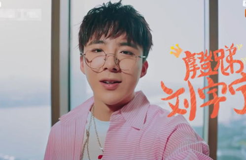 刘宇宁接到真人秀录制,有谁注意他的表情网友成明星了