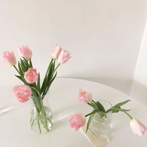  今日头像丨爱情的模样