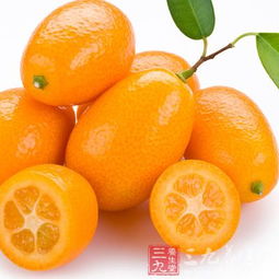 2025新款水果头像金桔