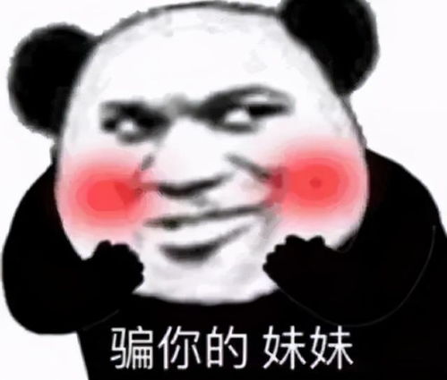  表情包沙雕日常没什么事我就先挂了