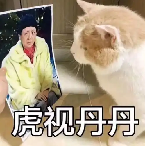 摸头表情包猫坚定