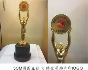  奥斯卡小金人奖杯比赛金属奖杯实木圆形底座