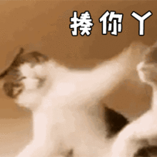  孩子喜欢打人抓脸尖叫,爸妈可以这样做