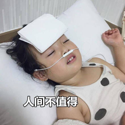 权律二哼表情包表情包
