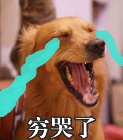 6384元月东莞平均工资又涨了,又拖后腿了看完扎心