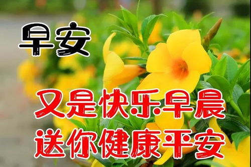  周五早上好表情包,匆匆岁月,真情相伴,愿你笑看人生,一路幸福