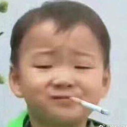  茉梓莉的微博微博