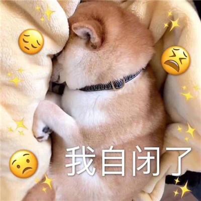睡不着的图片表情包不和