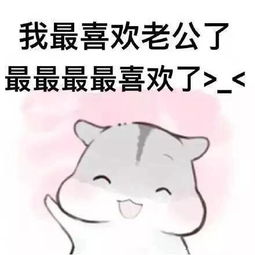  卖萌仓鼠老公表情包
