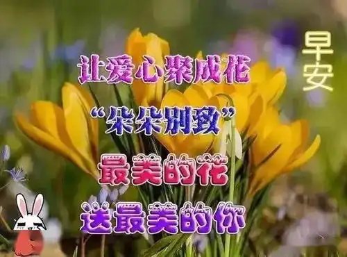  最美是过程,最难是相知,最渴望是结果,最苦是相思,早安