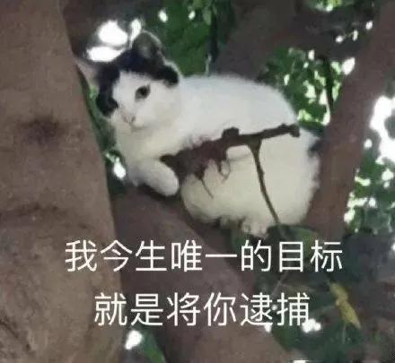  什么样的男生会很受女生喜欢很多女生都会喜欢这类男生