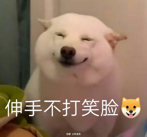  从友邻到家属的距离竟然只有500米