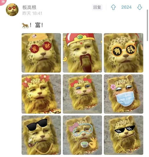  2022虎年头像微信制作,虎年金钱豹头像微信头像,虎年头像一键制作领取