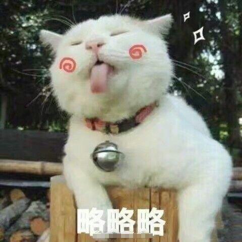  柴犬略略略表情包