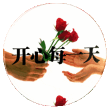  长辈专用最俗表情包,哈哈哈喜欢吗