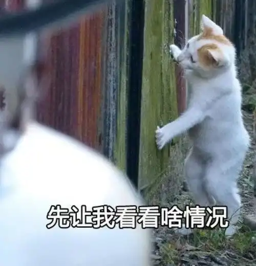  华农兄弟的竹鼠到底有没有问题