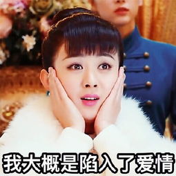  赵丽颖表情包大全带字