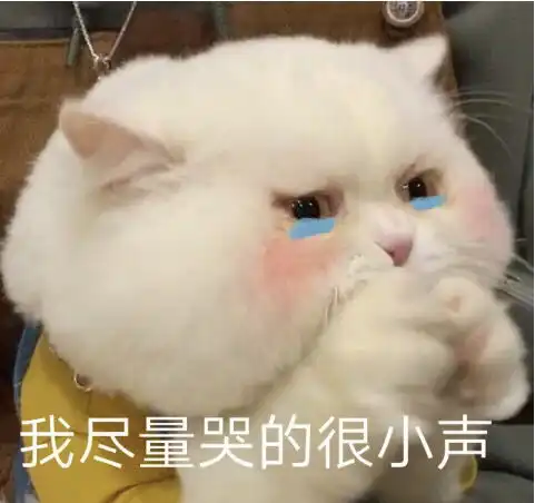  国考想起档案去查突然发现自己的档案不见了