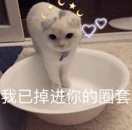 套你猴子表情包搞笑