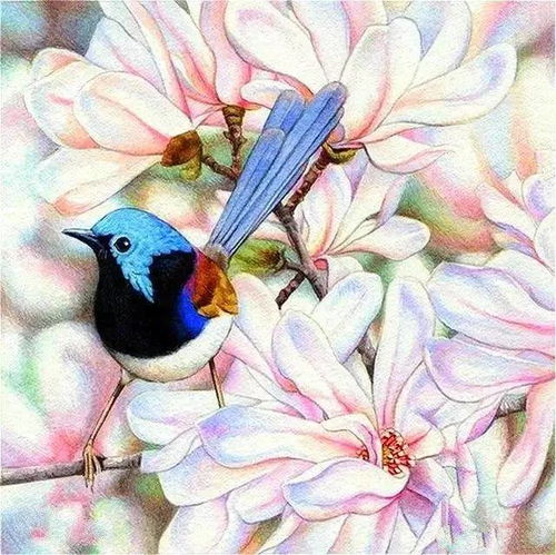  100副水彩花鸟画,太逼真了