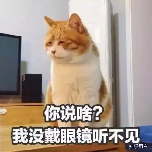 说的对的表情包老干妈
