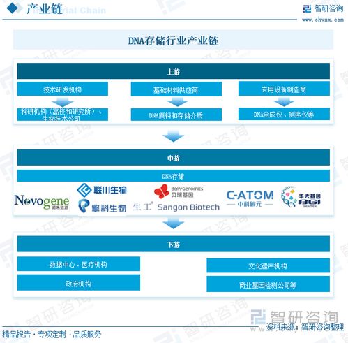  2025年中国dna存储行业发展现状产业链结构及整体发展形势研判应用领域不断扩大,有望成为未来数据存储重要解决方案