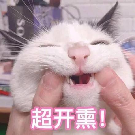  两个中年大婶的韩国hpv之旅擦出了啥样的火花