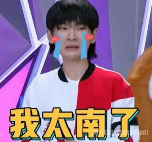 r1se表情包大全金莎