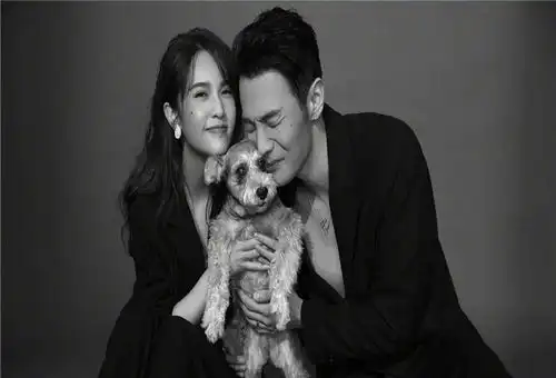  杨丞琳发李荣浩与柴犬的对比照,粘贴复制的表情,堪称狗界李荣浩照片